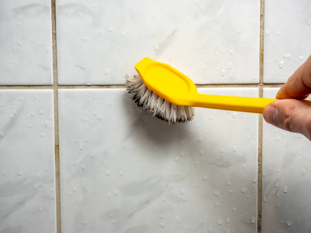 Best Mold Testing  in Susanville, CA
