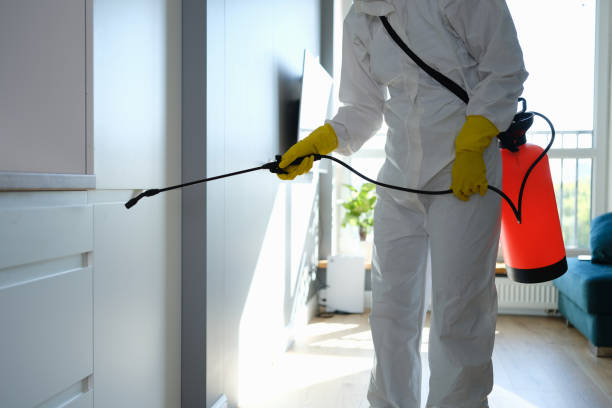 Best Emergency Mold Removal  in Susanville, CA