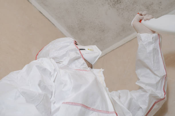 Best Local Mold Removal Service  in Susanville, CA