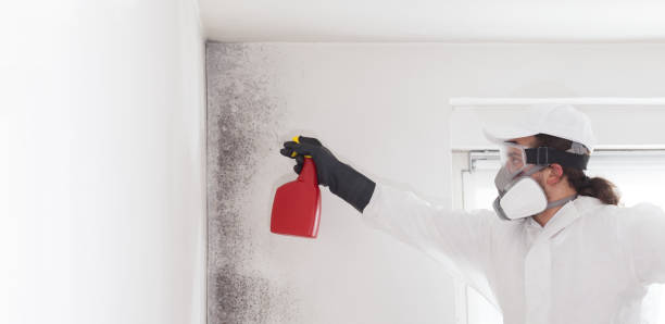 Best Mold Removal Near Me  in Susanville, CA