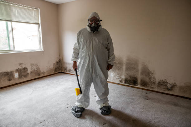 Trusted Susanville, CA Mold Removal Experts